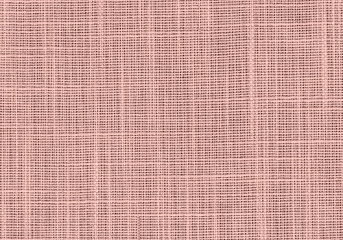 LP5053 Bexley Peony
