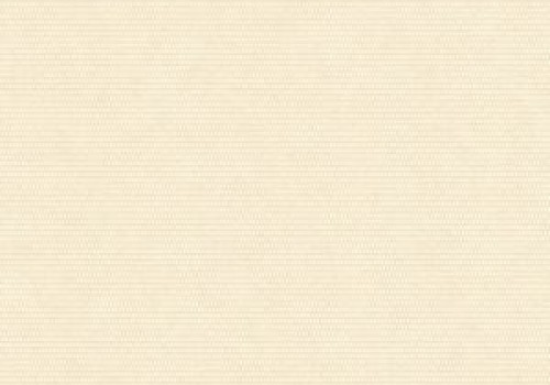 Palette FR Cream v2