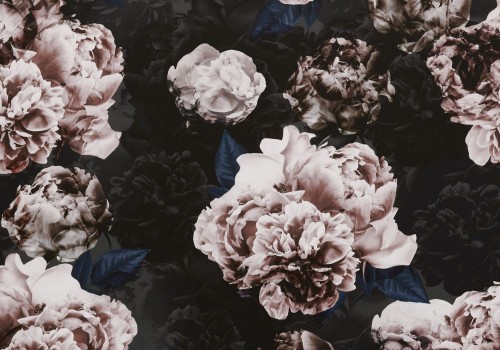 belle peony