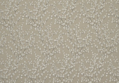 catkin praline