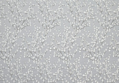 catkin shine