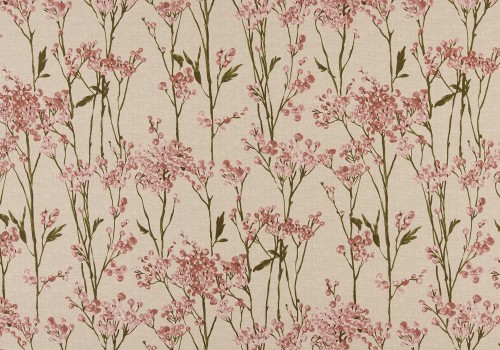 celina blush