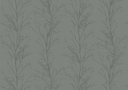 treviso graphite
